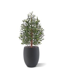 Bonsaï Olive artificiel Deluxe 100cm UV