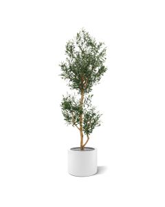 Arbre d'Olivier Promo artificiel de 180 cm