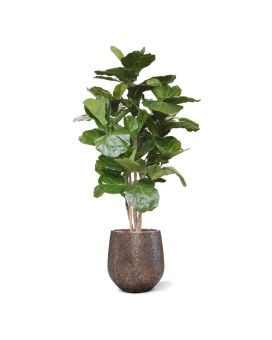 Lyrata Deluxe arbre artificiel de 170 cm