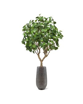 Ficus Umbellata Grand Arbre artificiel 250cm