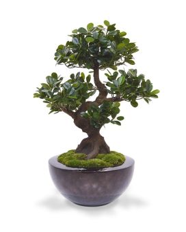 Panda Bonsaï artificiel de 70 cm sur socle
