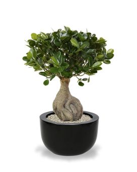 Panda Bonsaï artificiel de 55 cm
