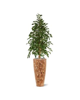 Ficus Exotica Artificiel vert de 150cm