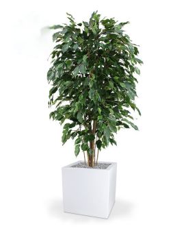 Ficus Exotica Artificiel Deluxe ignifugé 150 cm vert FR