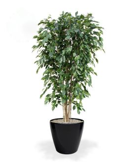 Ficus Exotica deluxe arbre artificielle ignifugé 180 cm vert