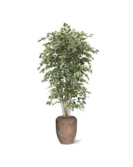 Ficus Arbre Artificielle Exotica Deluxe 210 cm panaché