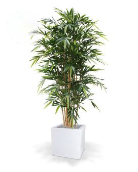 Bambou artificiel Deluxe de 180 cm FR