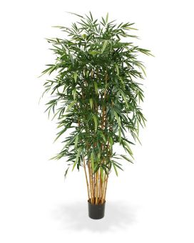Bambou Arbre artificielle deluxe de 210cm