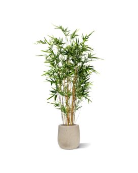 Bambou Arbre artificielle panaché de 170cm