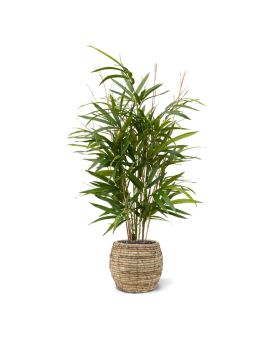 Royal Bambou plante artificielle 70 cm