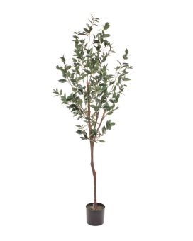 Laurier arbre artificiel promo de 190 cm