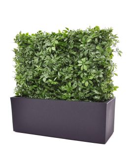 Haie de Schefflera artificielle de 80x25x56 cm anti-UV