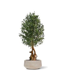 Olivier artificiel bonsai deluxe de 150cm