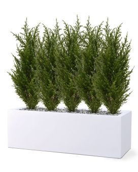 Conifère Plante Artificielle 50 cm en pot intérieur