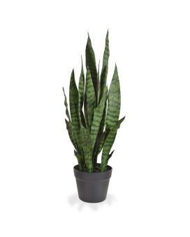 Sanseveria artificiel vert N 70 cm en pot