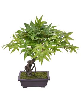 Bonsai d'Acer Artificiel 50cm Vert