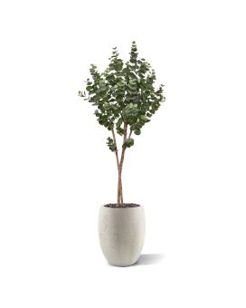 Eucalyptus Arbre artificiel sur tronc 170cm
