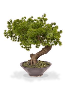 Pin de Bonsaï artificiel de 40 cm en bol
