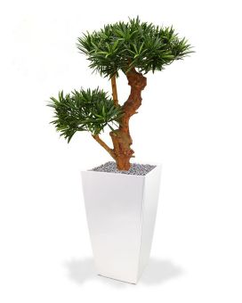 Podocarpus Bonsai Plante Artificielle de 65 cm UV