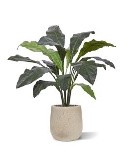 Anthurium artificiel Jungle King plante de luxe 130cm