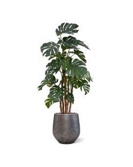 Monstera Deluxe Plante Artificielle180 cm