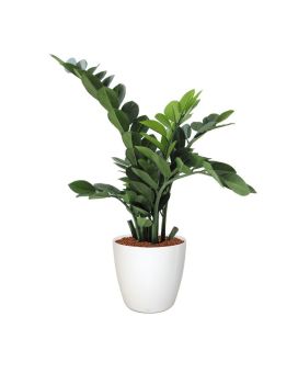 Zamioculcas plante artificielle de 65 cm