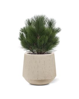 Boule de Pin (Pinus) plante artificielle de 45 cm anti-UV