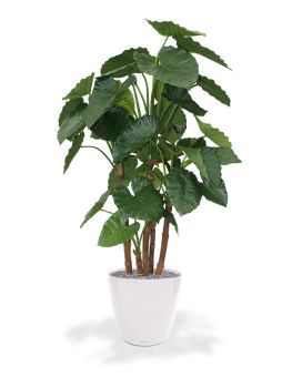 Alocasia Calidora Plante artificielle Deluxe 165 cm