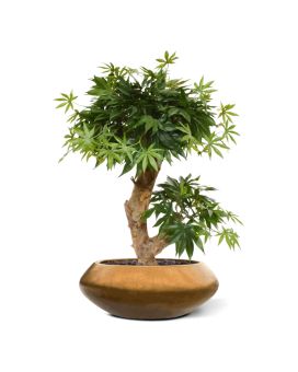 Acer Bonsaï artificiel de 60 cm vert