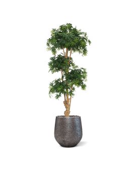 Acer Bonsaï Deluxe artificiel de 170 cm vert