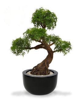 Ming Aralia Bonsaï artificiel Vert 90 cm anti UV