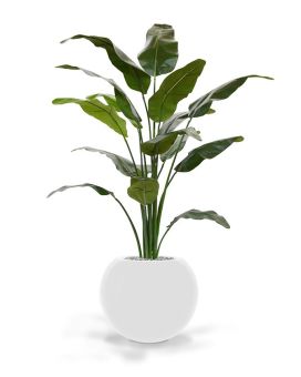 Traveller Palmier artificielle deluxe de 165 cm