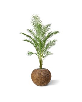 Areca Palmier artificielle Pl 140cm en pot