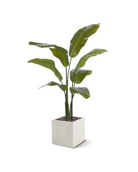 Palmier Traveller artificiel Promo 120cm