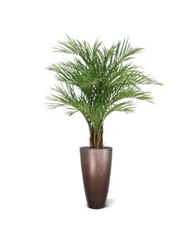 Palmier d'Areca artificiel Deluxe XL 150cm