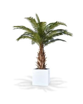 Phoenix Palmier des Canaries XXL artificiel de 300 cm