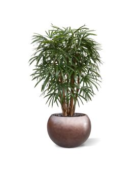 Palmier artificielle de Raphis XL Deluxe 130 cm