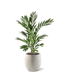 Palmier parlour plante artificielle deluxe 90 cm