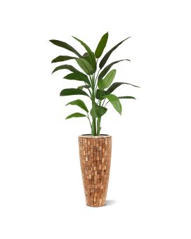 Heleconia plante artificiel vert 170cm en pot
