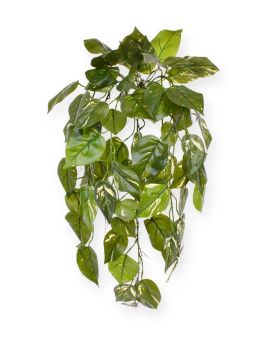 Pothos artificiel deluxe en chute 70 cm panache