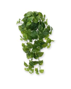 Chute de pothos artificielle de 80 cm RT