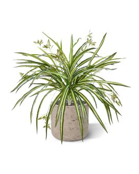 Chlorophytum RT plante artificielle suspendue 45cm