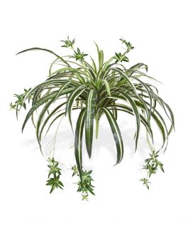 Chlorophytum Plante Artificielle Suspendue 50cm