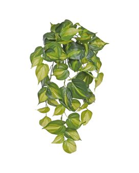 Philodendron Scandens Brasil plante artificielle suspendue 50cm