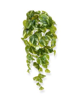 Pothos en chute artificielle de 60 cm