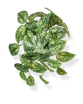 Pictus Plante retombantes Artificielle panache 25 cm