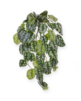 Scindapsus Pictus deluxe artificiel en chute de 70 cm