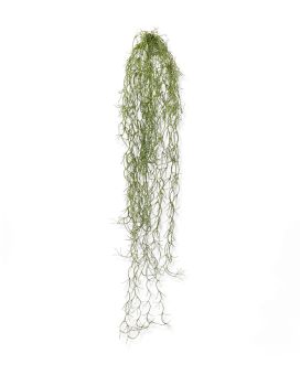 Tillandsia en chute artificielle de 75 cm