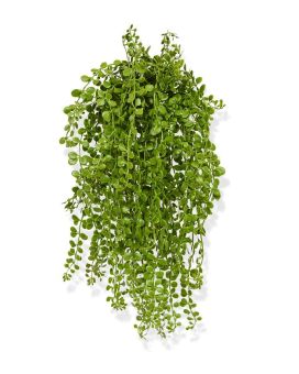 Dischidia en chute artificielle de 40 cm UV