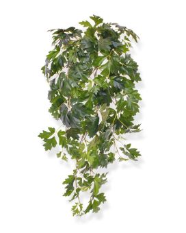 Cissus artificiel deluxe en chute de 80 cm